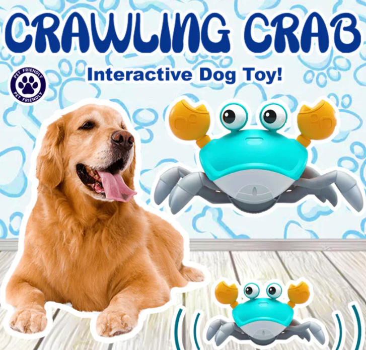 Crawling Crab *Dog Toy*